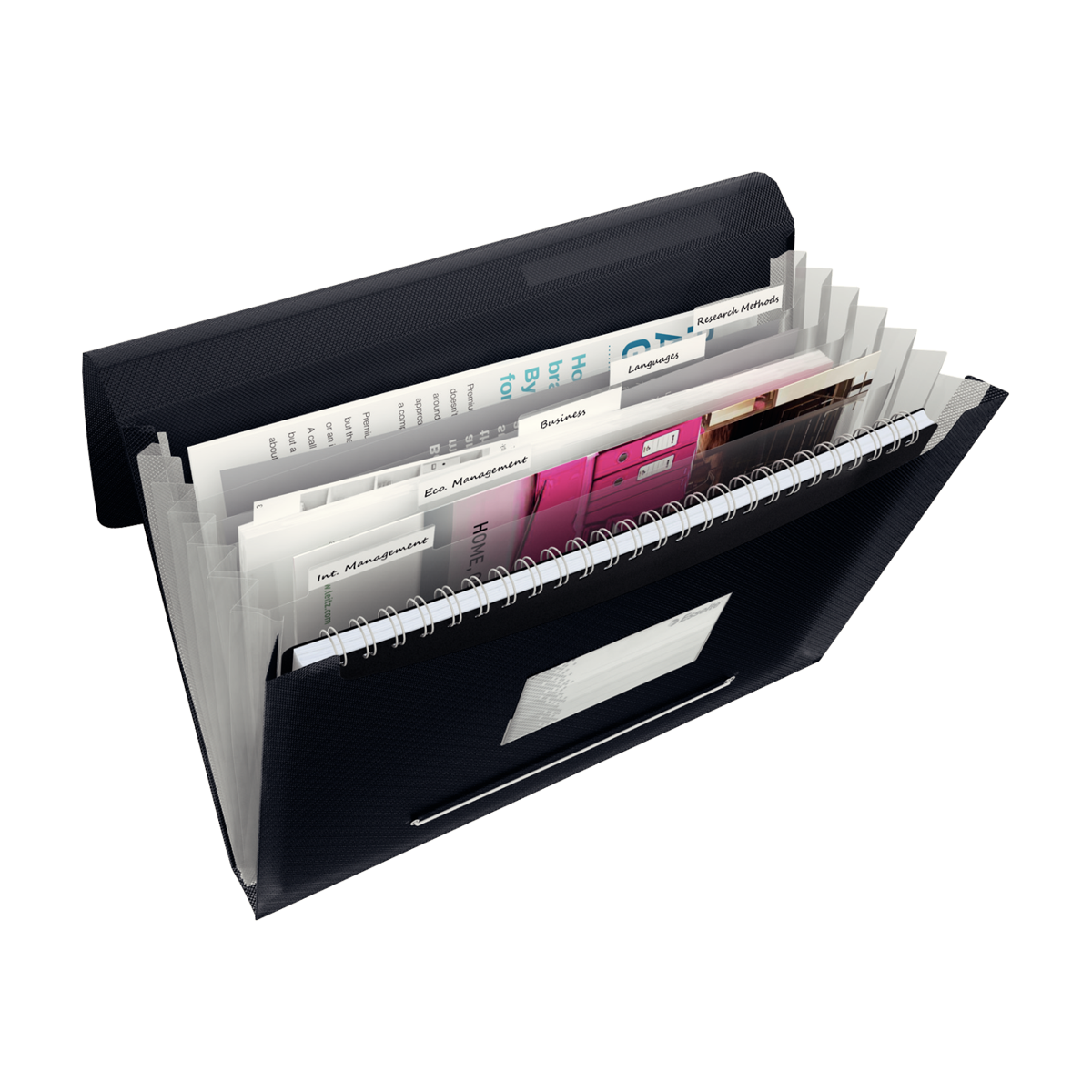 Teczka z 6 przegródkami Esselte Vivida, czarny