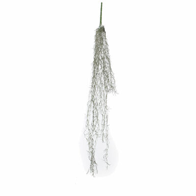 Mica Decorations Tillandsie hngende Kunstpflanze Grn 1St | Selgros