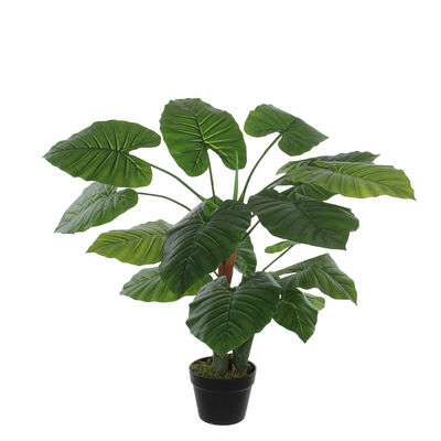 Mica Decorations Taro Kunstpflanze Grn 1St | Selgros