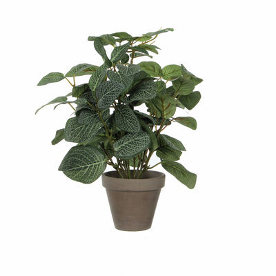 Mica Decorations Pilea Kunstpflanze im Blumentopf Stan Grn 1St | Selgros